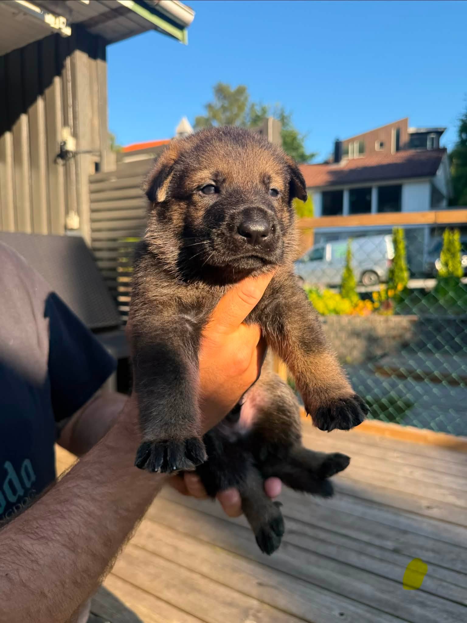 743699602_122204188916470752_688490479404186478_n