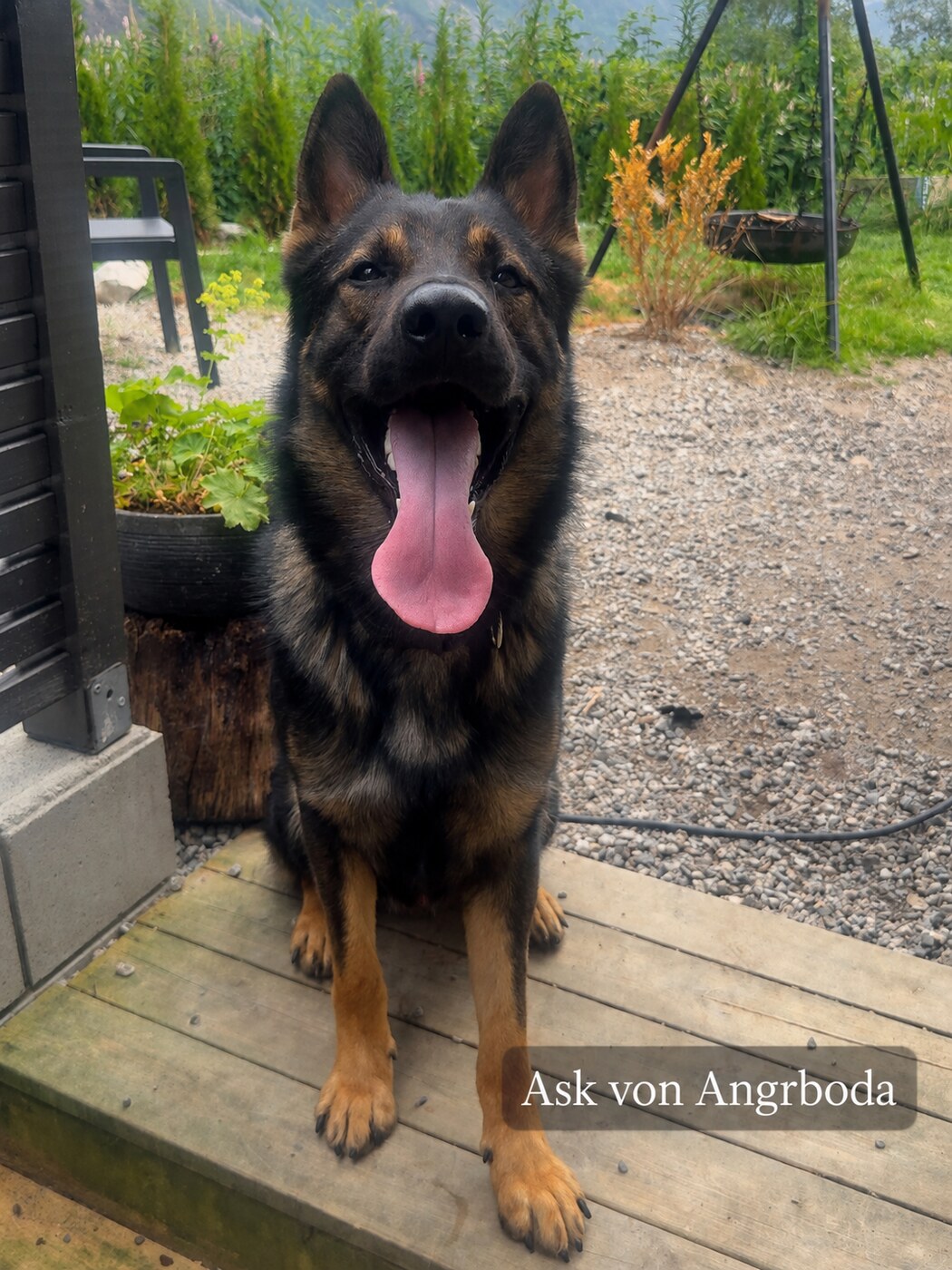 Ask-von-Angrboda-web